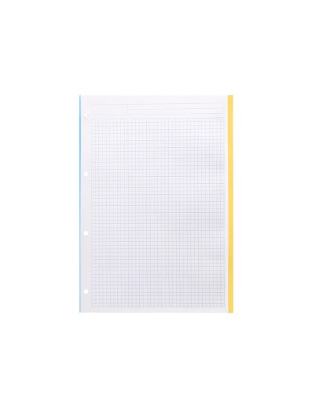 RECAMBIO A4 100H.100G/M2 CUADRO 5MM 4 TALADROS BANDAS 5 COL.A