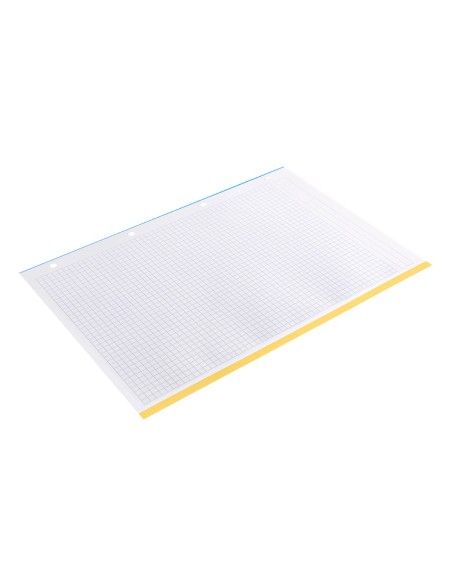 RECAMBIO A4 100H.100G/M2 CUADRO 5MM 4 TALADROS BANDAS 5 COL.A