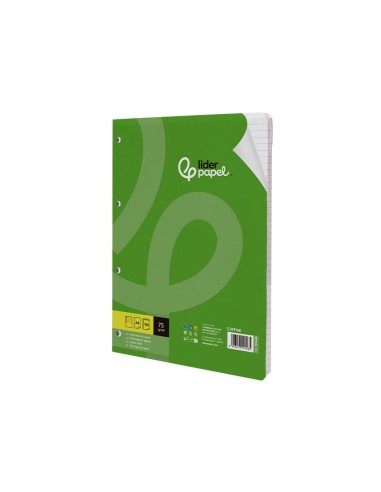 REC.FL.100 H 4TF-02 1 RAYA H.4 TAL.C/MARGEN