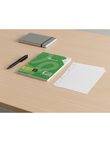 REC.4º 100 H 6TC-09 2 RAYAS PAUTA ANCHA 6 TAL.UNIVERSAL C/MARGEN