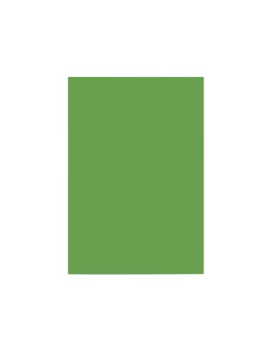 CARTULINA DIN A4 VER ABETO 180 GR PAQUETE 100 H