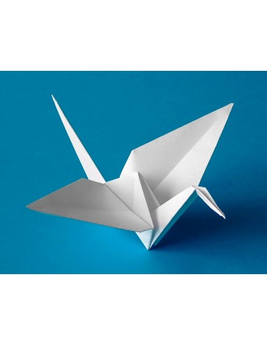 CARTULINA 50X65 CM BLANCA 240 GR UD.