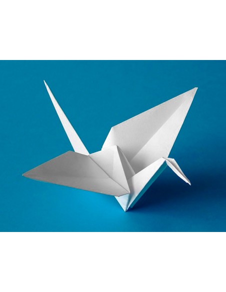 CARTULINA 50X65 CM BLANCA 240 GR UD.