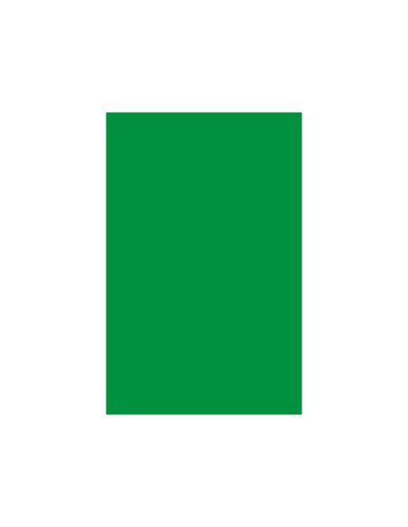 CARTULINA GUARRO DIN A3 VERDE BILLAR 185 GR PAQUETE 50 H 200040208