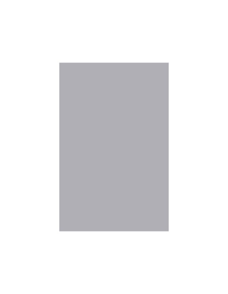 CARTULINA GUARRO DIN A3 PLATA 185 GR PAQUETE 50 H 200005823