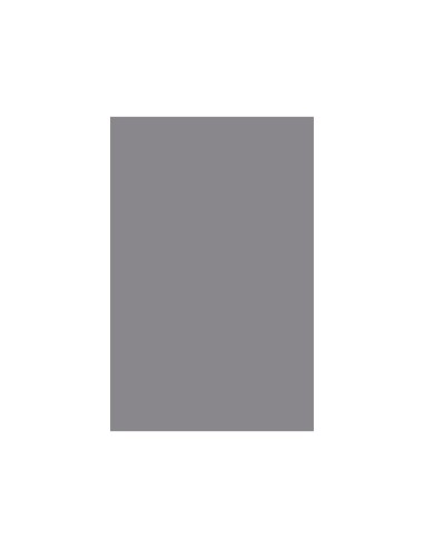 CARTULINA GUARRO DIN A4 GRIS PERLA 185 GR PAQUETE 50 H 200040177