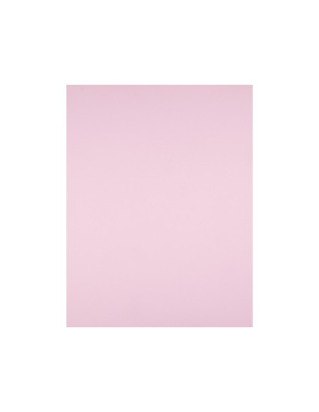 CARTULINA LIDERPAPEL 50X65 CM 240G/M2 ROSA PAQUETE 25 UNIDADES