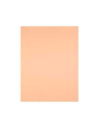 CARTULINA LIDERPAPEL 50X65 CM 240G/M2 SEPIA PAQUETE 25 UNIDADES