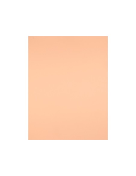 CARTULINA LIDERPAPEL 50X65 CM 240G/M2 SEPIA PAQUETE 25 UNIDADES