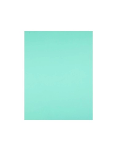 CARTULINA LIDERPAPEL 50X65 CM 240G/M2 VE.HIERBA PAQUETE 25 UNIDADES