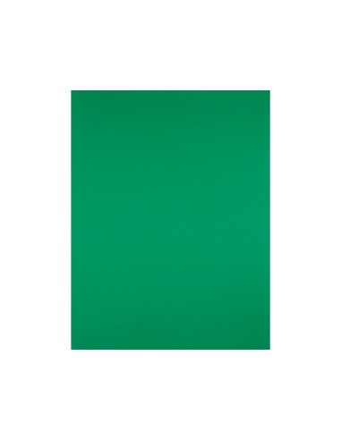 CARTULINA LIDERPAPEL 50X65 CM 240G/M2 VERDE PAQUETE 25 UNIDADES