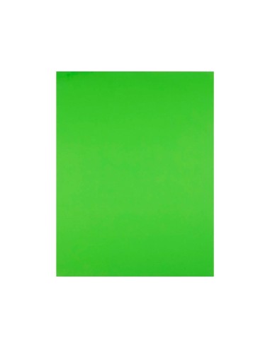 CARTULINA LIDERPAPEL 50X65 CM 240G/M2 VE.PISTACHO PAQUETE 25 UNIDADES