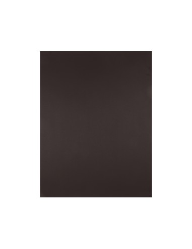 CARTULINA LIDERPAPEL 50X65 CM 180 GR MARRON UNIDAD