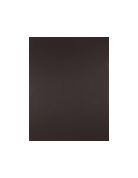 CARTULINA LIDERPAPEL 50X65 CM 180 GR MARRON UNIDAD