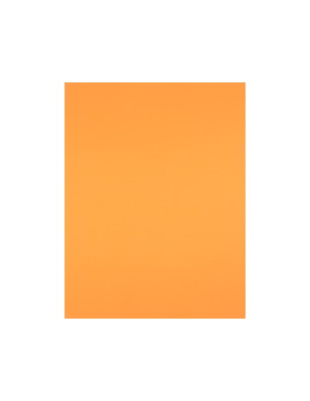 CARTULINA LIDERPAPEL 50X65 180 GR NECTARINA PAQUETE 25