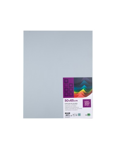 CARTULINA LIDERPAPEL 50X65 180 GR GRIS PAQUETE 25