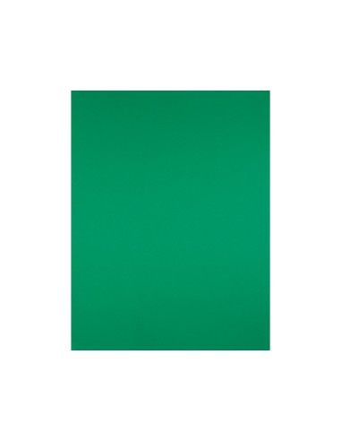 CARTULINA LIDERPAPEL 50X65 CM 180G/M2 VERDE NAVIDAD PAQUETE DE 25