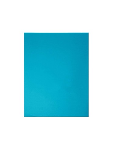 CARTULINA GUARRO AZUL CARIBE 50X65 CM 185 GR