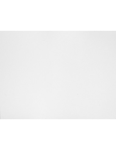 CARTON GRIS Nº 14 76X106 CM HOJA