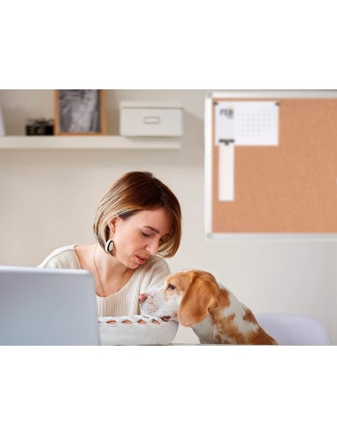 PIZARRA CORCHO Q-CON.MARCO AL.90X60 CM GROSOR CORCHO 1.5cm