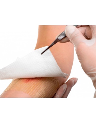 GASA ESTERIL ALGODON HIDROFILO CAJA 100 UD.