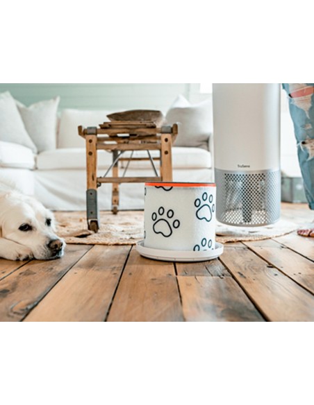 FILTRO CARBONO LEITZ PURIFICADOR AIRE MED.Z-2000/Z-2500 MASCOTAS