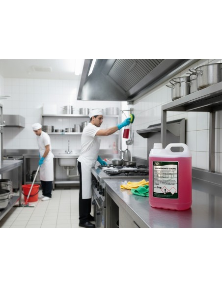 LIMPIADOR DESENGRASANTE MULTIUSOS DAHI GARRAFA 5 LITROS