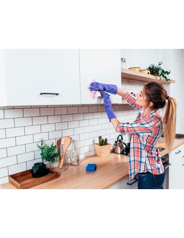 LIMPIADOR DESINFECTANTE SANYTOL COCINAS  PULVERIZADOR BOTE 750 ML