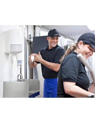 BOBINA PAPEL SECAMANOS 2 CAPAS 150MT 429 H