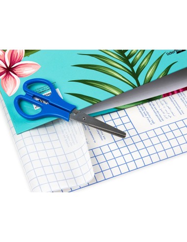 ROLLO PLASTICO ADH.0.50X1.50 MT 50 MC FORRALIBROS REMOVIBLE