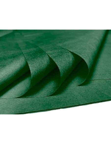 PAPEL SEDA LIDERPAPEL VERDE OSCURO 52X76CM 18 GR/M2 BOLSA DE 5 HOJAS