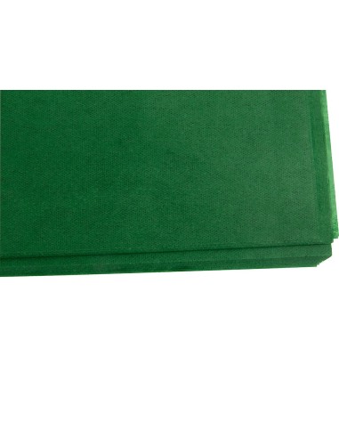 PAPEL SEDA LIDERPAPEL VERDE OSCURO 52X76CM 18 GR/M2 PAQUETE 25 HOJAS