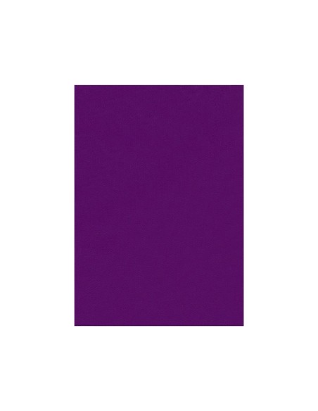 FIELTRO LIDERPAPEL 50X70CM VIOLETA 160G/M2