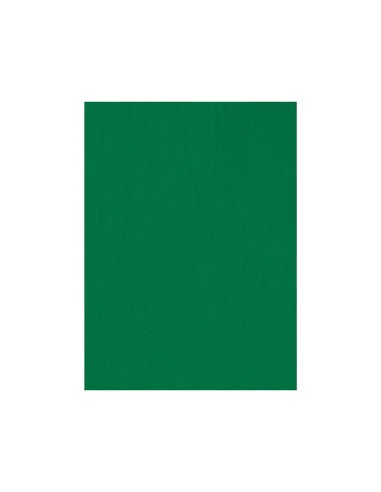 FIELTRO LIDERPAPEL 50X70CM VERDE 160G/M2