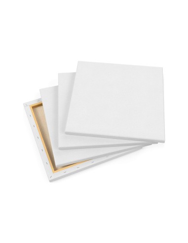 BASTIDOR LIDERCOLOR 8F LIENZOGRAPADO LATERAL ALGODON 100% MARCO PAWLO