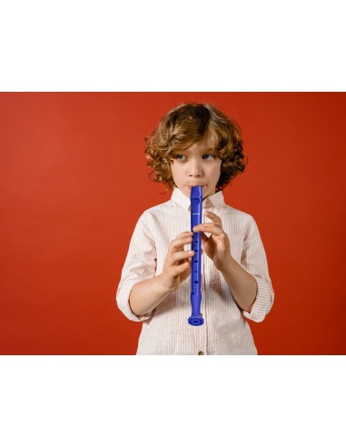 FLAUTA HOHNER 9508 COLOR AZUL FUNDA VERDE Y TRANSPARENTE