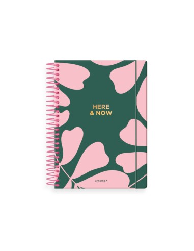 AGENDA ESP.ANTARTIK HERE AND NOW A5+ 2026 D/P VE. PAPEL 80G FSC