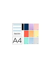 CUADERNO ESP. WONDER A4 T.PLASTICO PAUTA 2,5MM 80H 90GR. COL.SURT. 2
