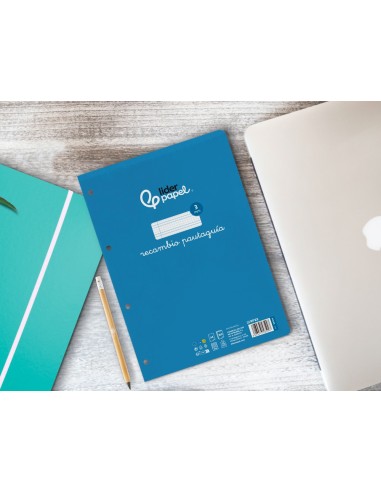 RECAMBIO LIDER.FL.100 H 4 TALADROS 70 GR CUADRO PAUT.3MM MARG**