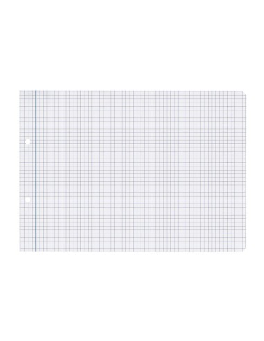 REC.4º APAISADO 100 H 2TCA-01 CUADRO 4 MM 2 TAL.C/MARGEN