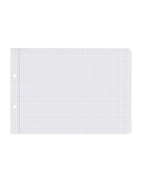 REC.4º APAISADO 100 H 2TCA-01 CUADRO 4 MM 2 TAL.C/MARGEN