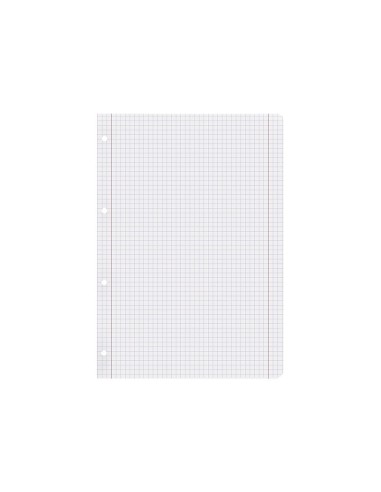 REC.DIN A5 100 H CUADRO 5 MM 6 TAL.C/MARGEN PAPEL 100 GRAMOS