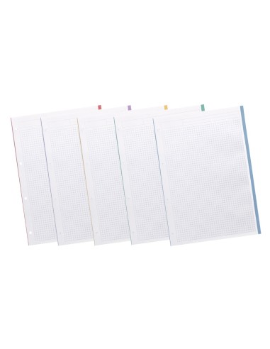 RECAMBIO  A4 200+50H. 90G/M2 5MM4 TAL.B.DE 5 COL.