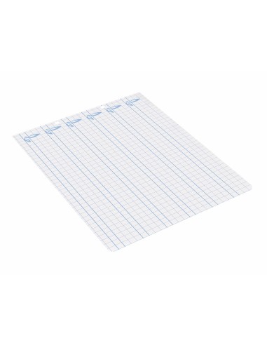 RECAMBIO LIDER.4º 100H.70G/M2 CUADRO PAUT.6MM 2 TALADROS **