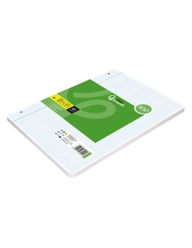 RECAMBIO  A4 100H. PAPEL RECICLADO 100% 80G/M2 4MM MARGEN4 TAL.