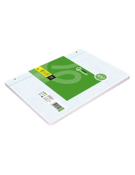 RECAMBIO  A4 100H. PAPEL RECICLADO 100% 80G/M2 4MM MARGEN4 TAL.
