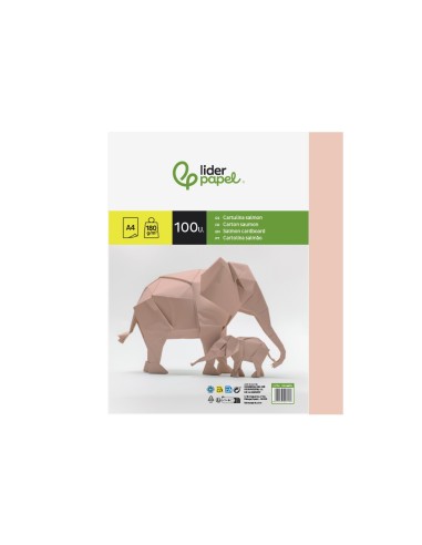 CARTULINA DIN A4 SALMON 180 GR PAQUETE 100 H
