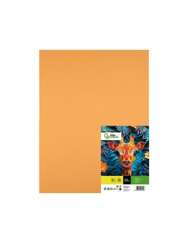 CARTULINA LIDERPAPEL 50X65 CM 240G/M2 AVELLANA PAQUETE 25 UNIDADES