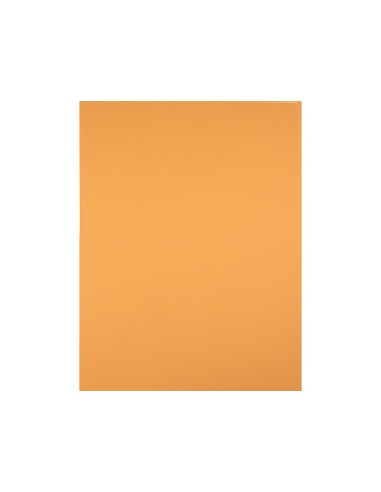 CARTULINA LIDERPAPEL 50X65 CM 240G/M2 AVELLANA PAQUETE 25 UNIDADES