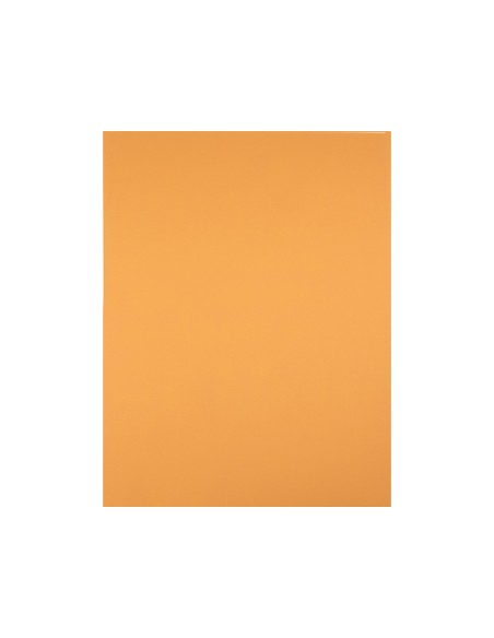 CARTULINA LIDERPAPEL 50X65 CM 240G/M2 AVELLANA PAQUETE 25 UNIDADES